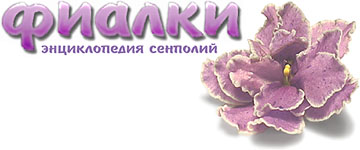 ФИАЛКИ ( Энциклопедия Сенполий ) - violets.ru